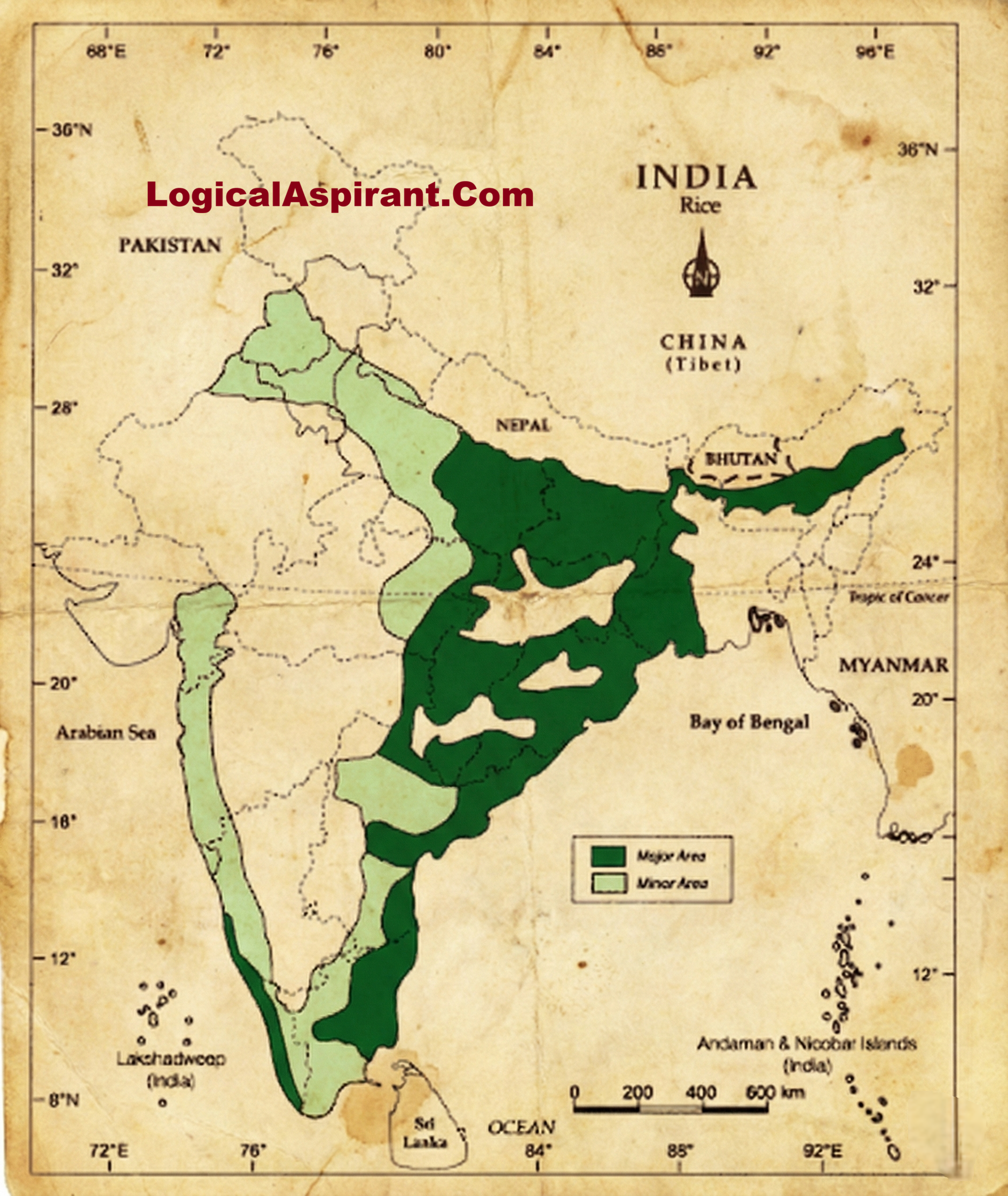 Why India Is the World’s Largest Rice Producer: Climate, Regions and Water Use Explained